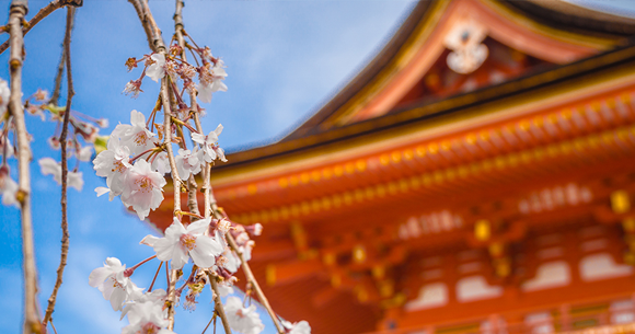 日本注册公司.png